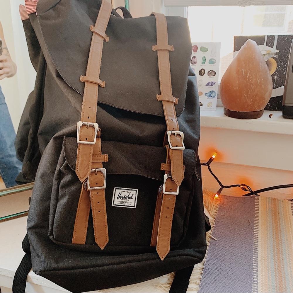 Hershel 20 L backpack